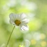 男子养龙虾月赔10万破防抑郁